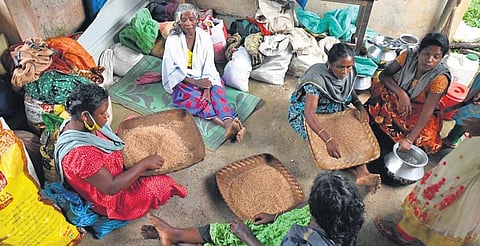 Tribal families from Arakappu colony who were evicted from ‘Vaishali’ cave area cooking food outside the tribal hostel at Idamalayar on Wednesday | Albin Mathew