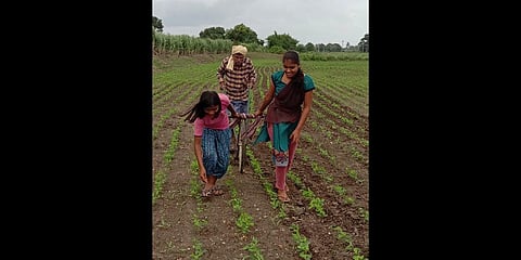 Farmer Kallappa Jawoor’s daughters pull a plough in Madakihonnalli village of Dharwad district | Express