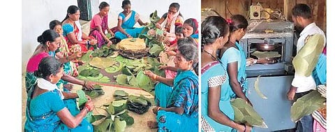 Tribal women in Tiryani have started making utensils by weaving leaves. (Photo | Express)