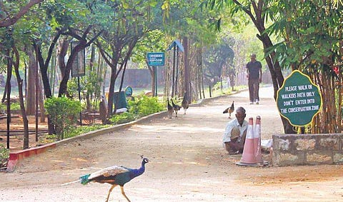 File photo of KBR Park in Hyderabad. (File photo | EPS)