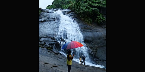 Thusharagiri waterfalls (Photo | Express)