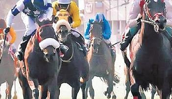 Turf clubs liable to pay GST on bet amount: Karnataka HC