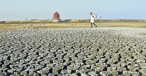 Tamil Nadu gets into mission mode to tackle climate change