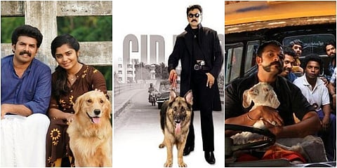 From left: 'Anugraheethan Antony', 'CID Moosa' & 'Aadu'