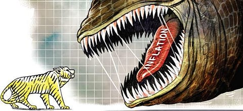 The transitory nature of the CPI inflation (or otherwise) may be further studied by looking at WPI inflation. (Express Illustrations | Amit Bandre)