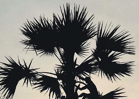 A view at Tirunelveli | V KARTHIKALAGU