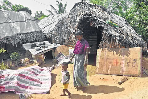 Irular tribals living in Manimangalam village in Kancheepuram, are waiting for the implementation of MGNREGA. (Photo| Ashwin Prasath, EPS)