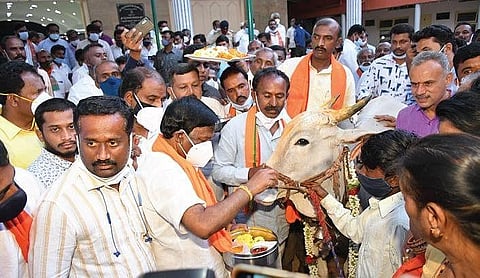 Union Minister A Narayanaswamy performs ‘gau pooja’ in Tumakuru on Tuesday 