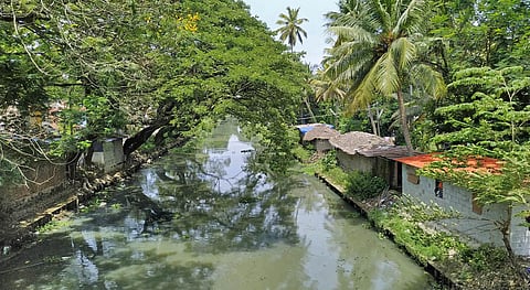 Image used for representative purposes only.