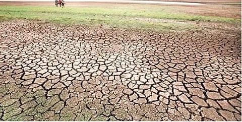 Parched farmland in rain-starved Nabarangpur district | Express
