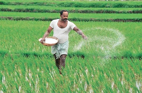 Andhra Pradesh: Vigil stepped up on sale of fertiliser, seeds ahead of Kharif
