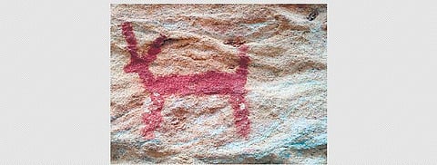 Literature and cave paintings explored by the tribal researchers for their study