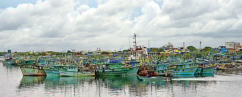 A view of the boats docked at the Kasimedu fishing harbour in Chennai on Tuesday | Shiba Prasad Sahu