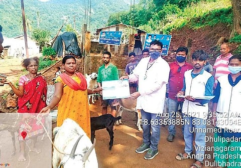 Andhra Pradesh officials at the veterinary  camp in Kotia's Dhulipadar village. (Photo| EPS)