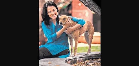 Blue Cross will train local vets and make people aware about rabies control & dog population management