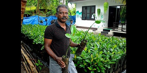 Murukesan T P (Photo | A Sanesh, EPS)