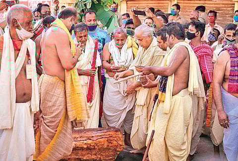 Representational image of priests performing rituals at the chariot construction yard in Puri. (File photo I Express)