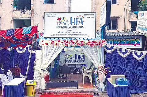 A cloud kitchen for four-legged friends