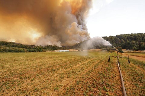Flames burn on a mountain during a wildfire near Limni village on the island of Evia, about 160 kilometers (100 miles) north of Athens. (Photo | AP)