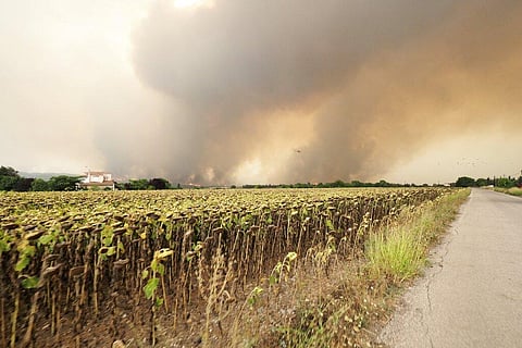 A wildfire burns in Krya Vrisi village on the island of Evia, about 139 kilometers (86 miles) north of Athens, Greece. (Photo | AP)
