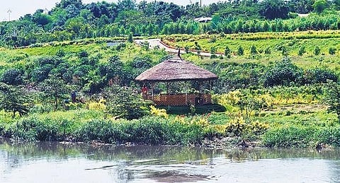 A gazebo along the lush green meadows of Musi river.