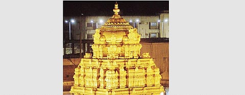 TTD to introduce Navaneetha Seva to protect cows