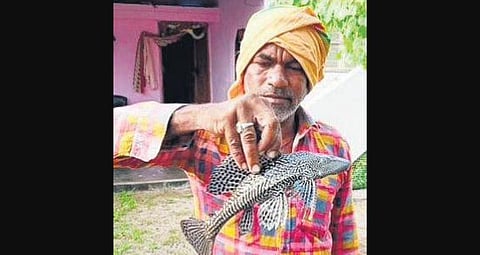 Rajanarsu with the Devil Fish that he caught, at Atmakur village | EPS