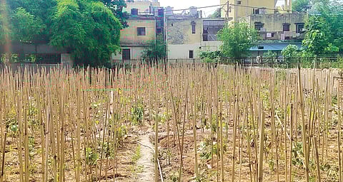 MPL Park in Mayur Vihar Phase 3.