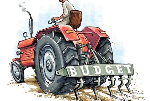 Representational Image. (Photo | Soumyadip Sinha/EPS)