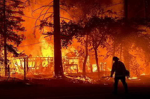 Odisha has surpassed Madhya Pradesh and Maharashtra where 47,795 and 34,025 forest fires were reported respectively this season. (Representational image | AP)
