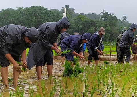 Foresters from Kali Tiger Reserve in Uttara Kannada district work in a filed in Mainol village as part of their outreach programme (Photo | EPS)