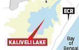 PWD plan poses eco-threat to salty Kaliveli lake?