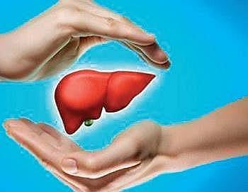 Liver diseases are preventable: Doctor