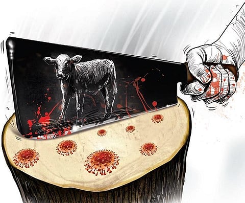 Zoonotic diseases: Meat we eat a cause for worry?