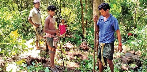 Dhaneswar and his family work on clearing the path to build the road. (Photo | Express)