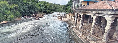 The Thamirabarani river, which originates from Podhigai hills, traverses 120 km through Tirunelveli and Thoothukudi districts