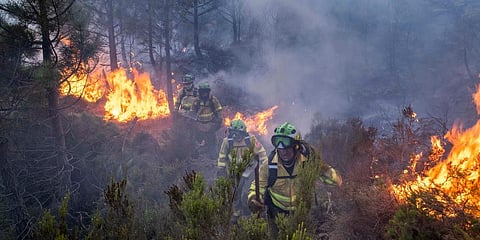 Forest firefighters work on a wildfire near the town of Jubrique, in Malaga province, Spain, Saturday, Sept. 11, 2021. (Photo | AP)
