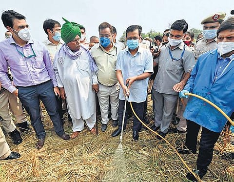 File picture shows Kejriwal applying bio-decomposer in a field.