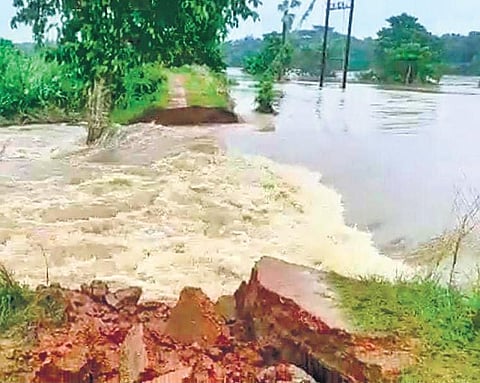 Breach at Mahipada in Bari block of Jajpur district. (Photo | Express)