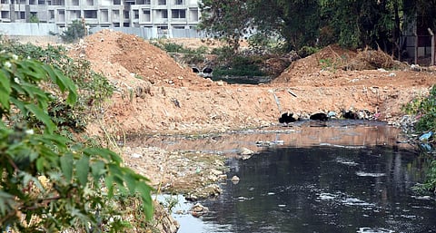 Over half of daily sewage flowing into Bengaluru lakes