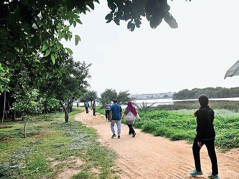 Morning walkers at Madiwala Lake in Bengaluru on Sunday, after it reopened following the lifting of Covid-19 restrictions. (Photo | Ashishkrishna HP/EPS)