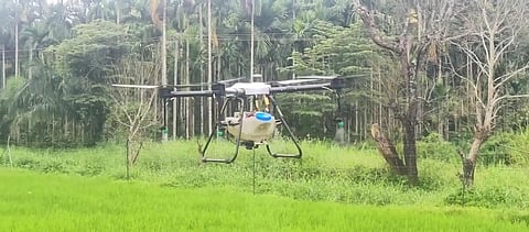 Drone facility used in a paddy field in the district (Photo | Special arrangement)