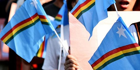 The Naga Flag (Photo | ANI)