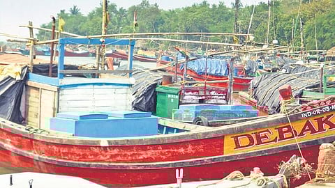 Cyclone Gulab: Heavy rainfall in southern districts of Odisha, road transport disrupted