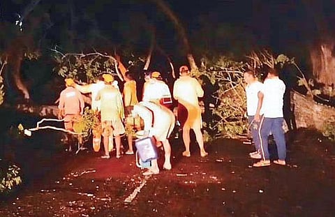 NDRF personnel clear an uprooted tree on Kalingapatnam - Gara road in Srikakulam district, the worst-affected by the cyclone. (Photo | G Satyanarayana, EPS)