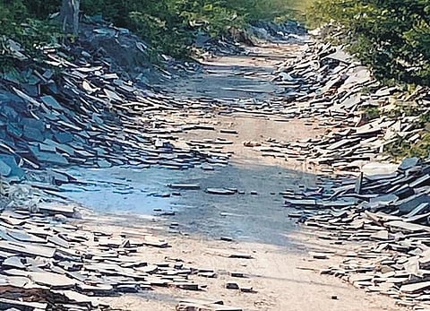 Image used for representational purpose only.