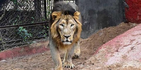 For representational purposes (Photo | EPS)