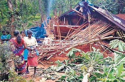 Houses damaged by tusker Vinayaga at Melambalam, near the Mudumalai Tiger Reserve.