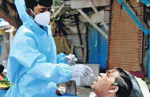 A health worker collects throat swabs  at KR Market in Bengaluru | Express