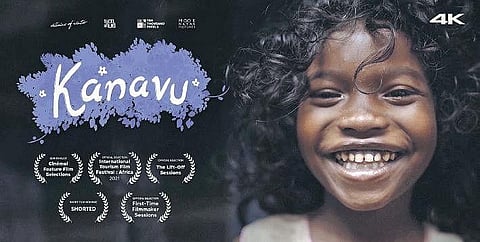 Tales from the forest’s heart